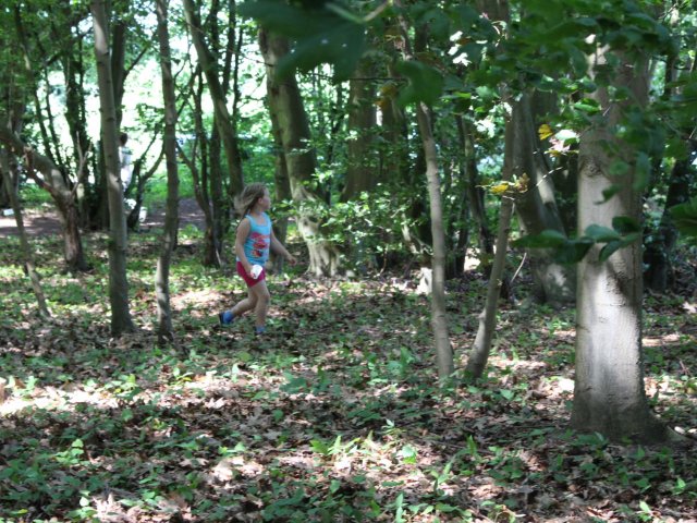 Bilder 19.07.2017 Thementag