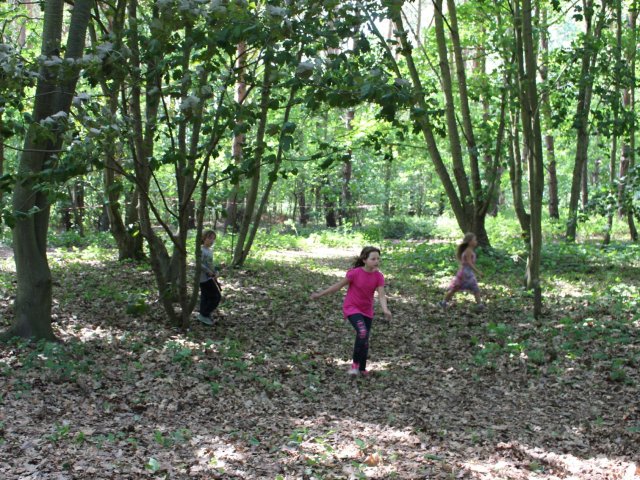 Bilder 19.07.2017 Thementag