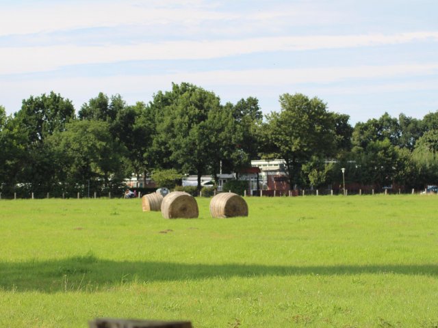 Bilder 23.07.2017 Flashmob