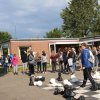 Bilder 23.07.2017 Flashmob